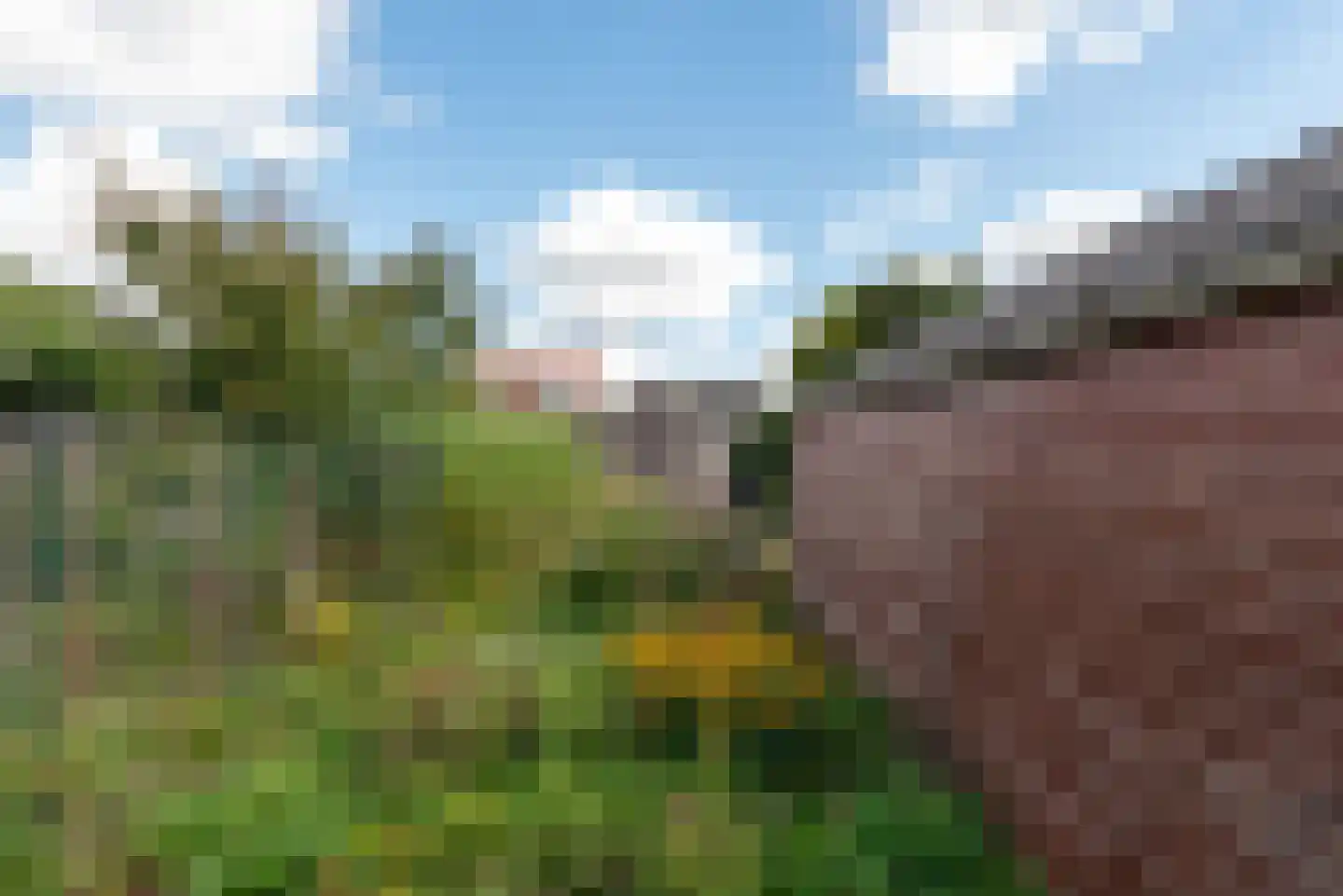 Oude Molenweg 8 a Doorn thumbnail 29