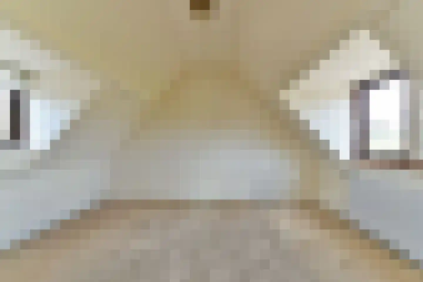 Oude Molenweg 8 a Doorn thumbnail 37