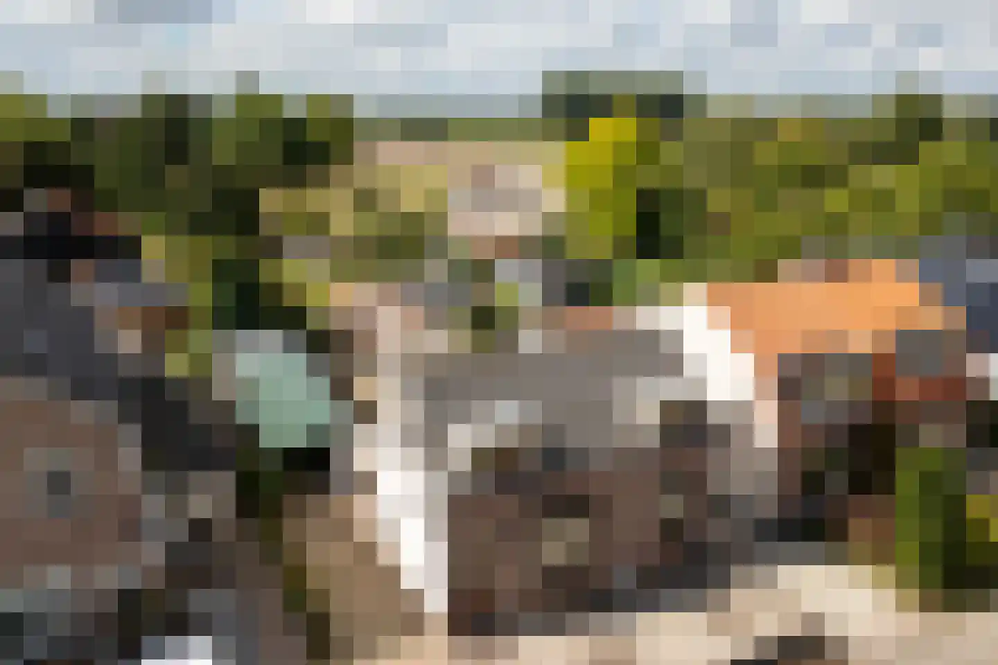 Oude Molenweg 8 a Doorn thumbnail 6