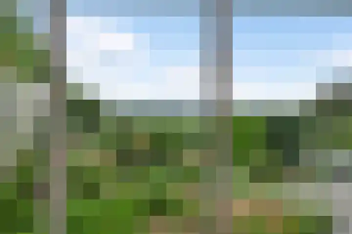 Oude Molsbergerweg 10 Simpelveld thumbnail 11