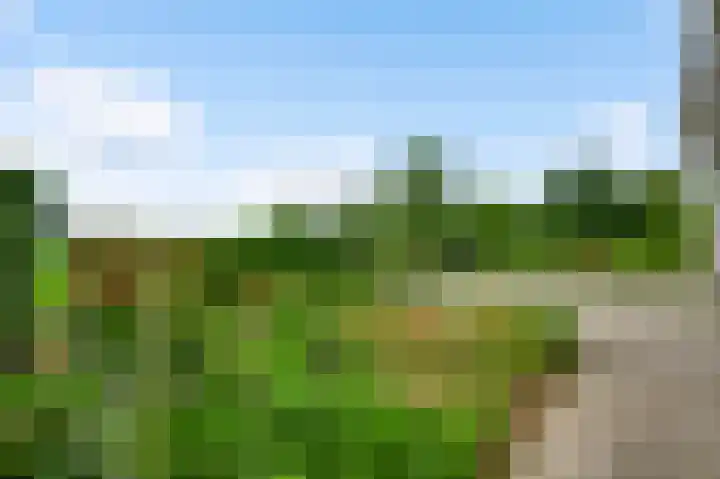 Oude Molsbergerweg 10 Simpelveld thumbnail 14