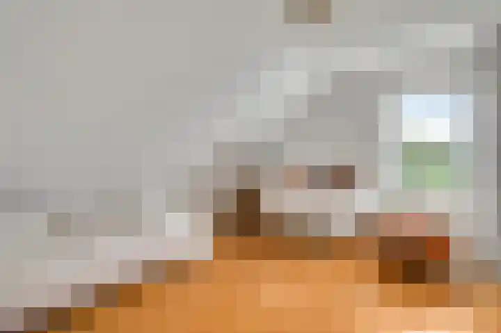 Oude Molsbergerweg 10 Simpelveld thumbnail 18