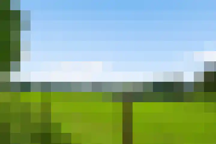 Oude Molsbergerweg 10 Simpelveld thumbnail 5