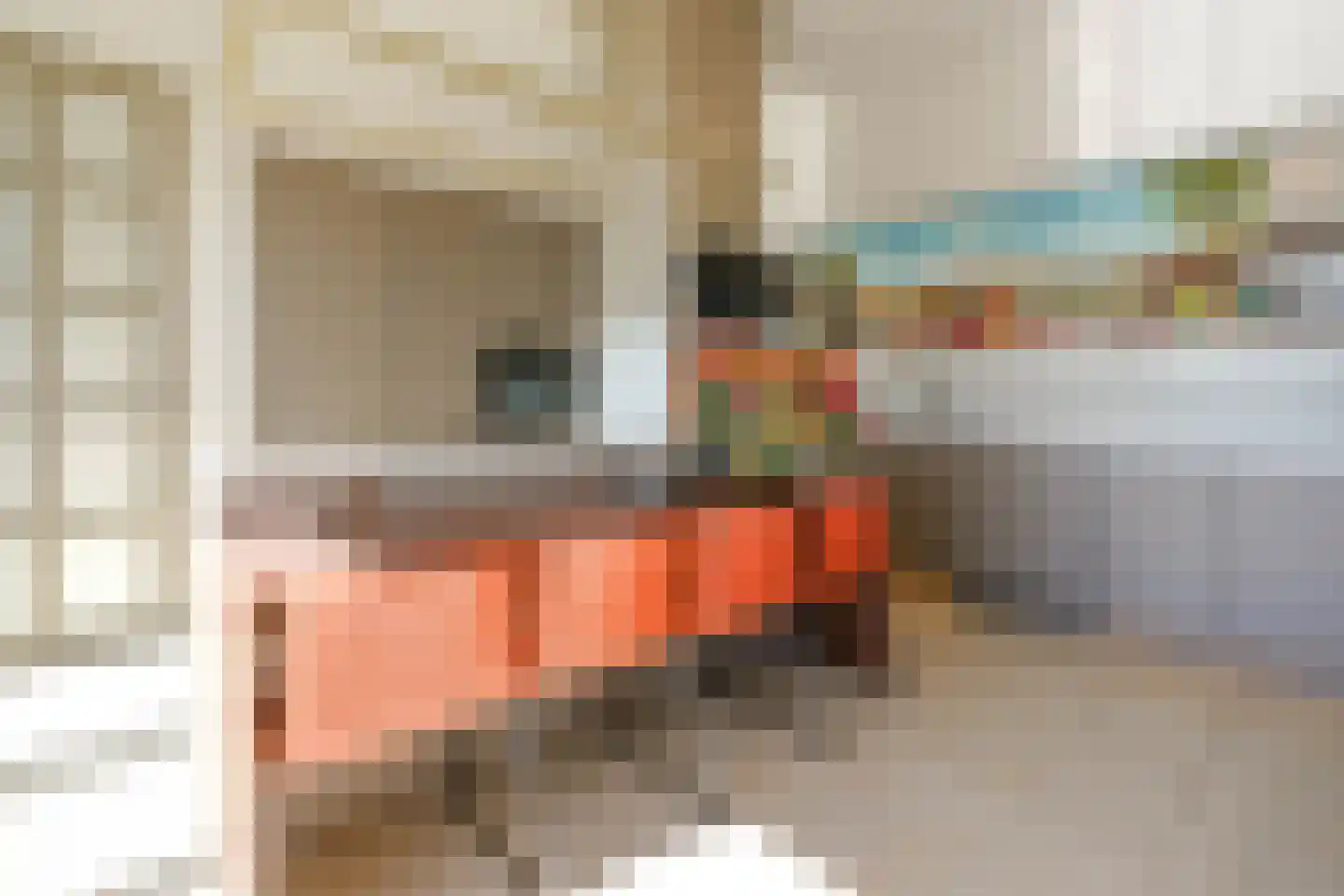 Oude Molstraat 14 Den Haag thumbnail 17