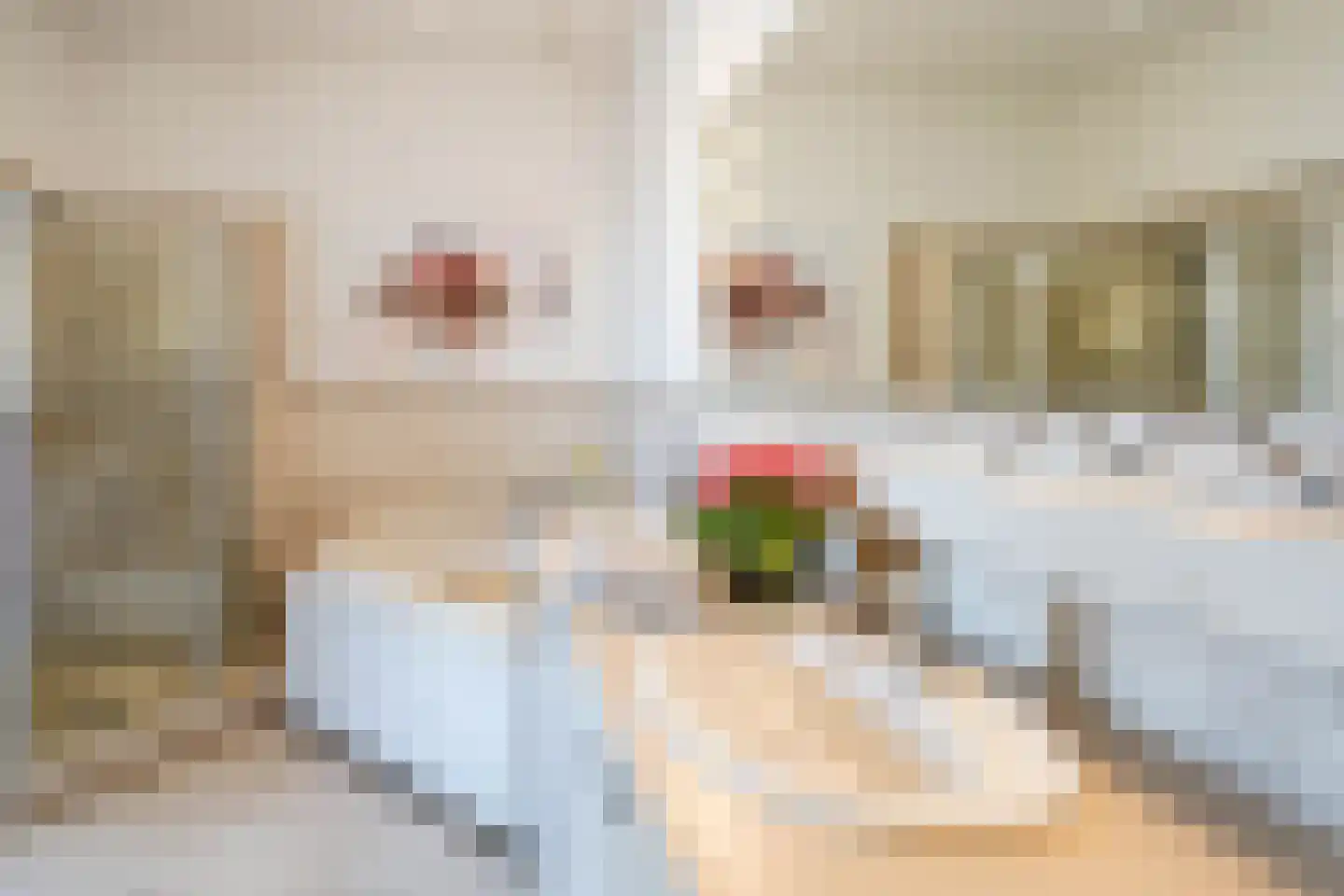 Oude Molstraat 14 Den Haag thumbnail 22