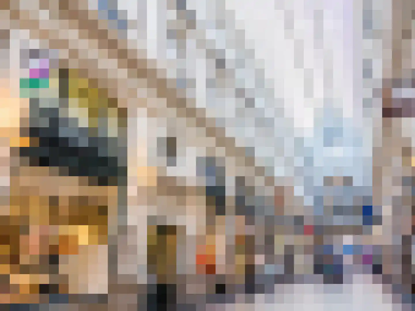 Oude Molstraat 14 Den Haag thumbnail 42