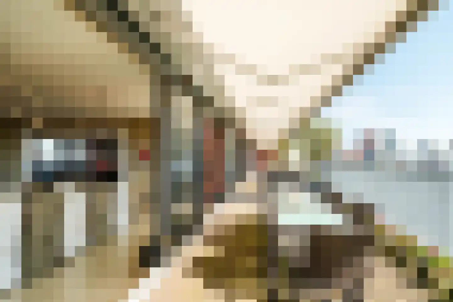 Oude Molstraat 14 Den Haag thumbnail 6