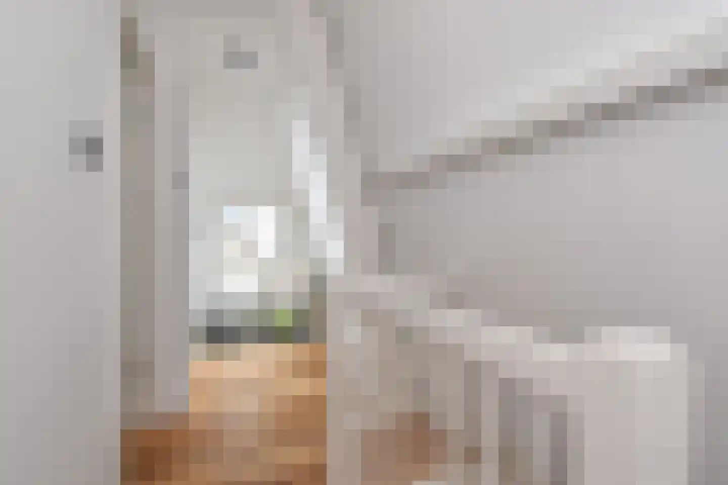 Oude Molstraat 26 Den Haag thumbnail 38