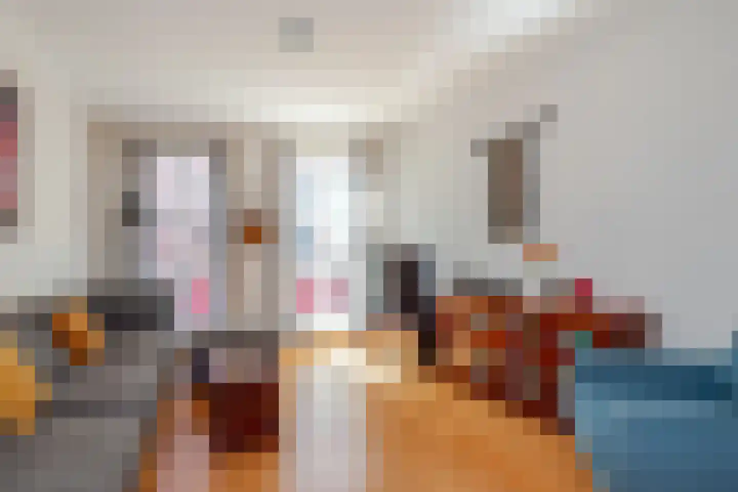 Oude Molstraat 5 F Den Haag thumbnail 11