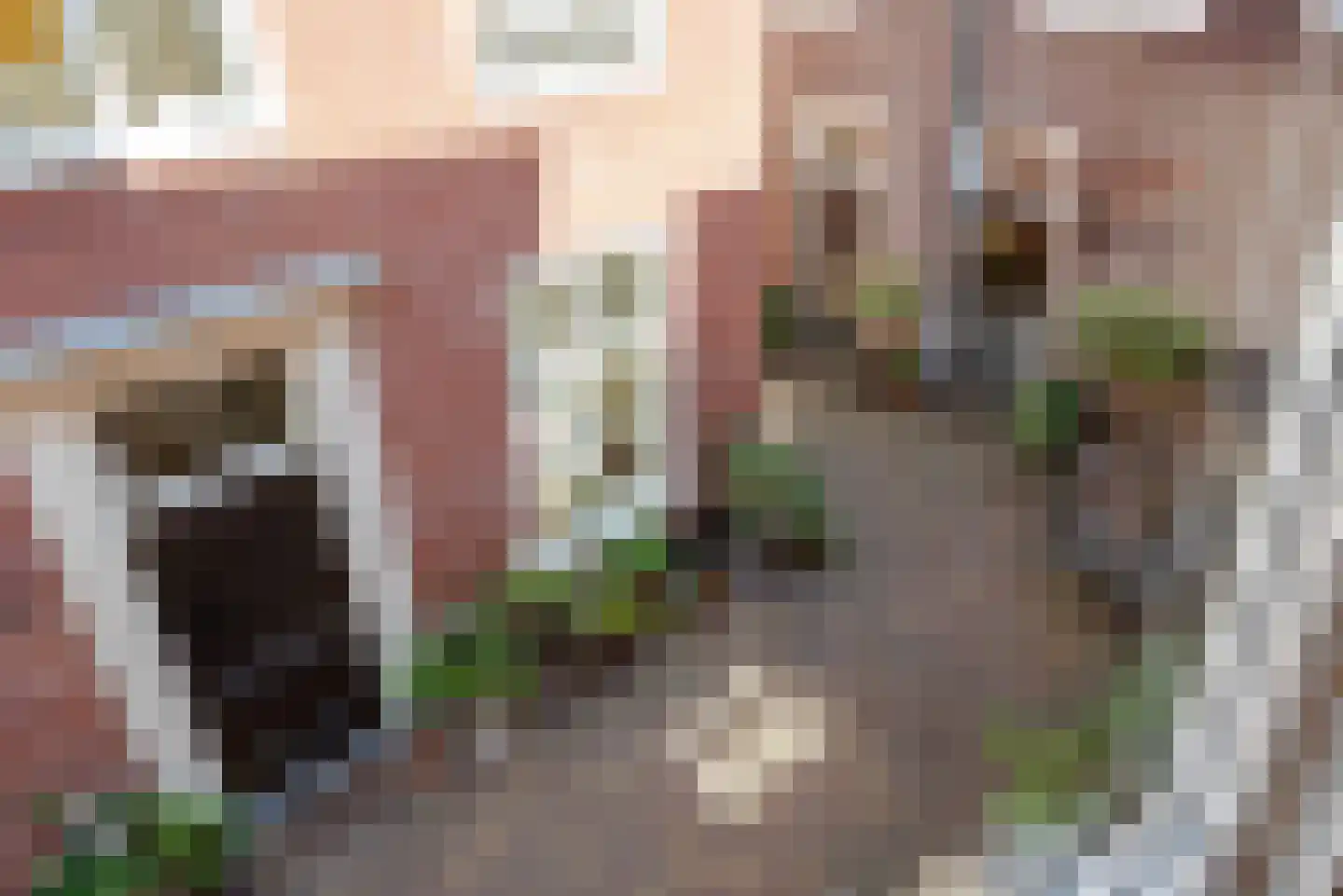 Oude Molstraat 5 F Den Haag thumbnail 20