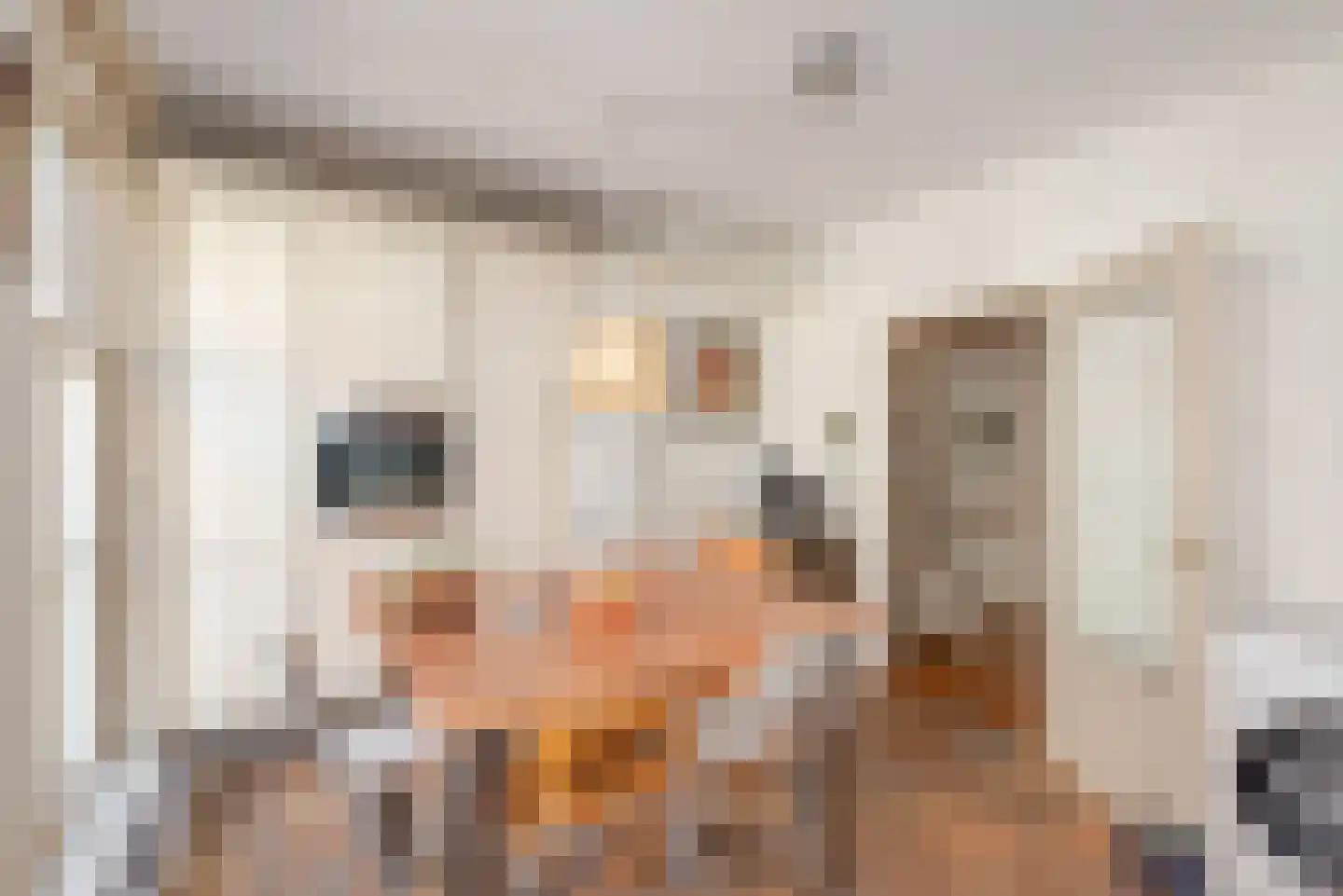 Oude Molstraat 5 F Den Haag thumbnail 22