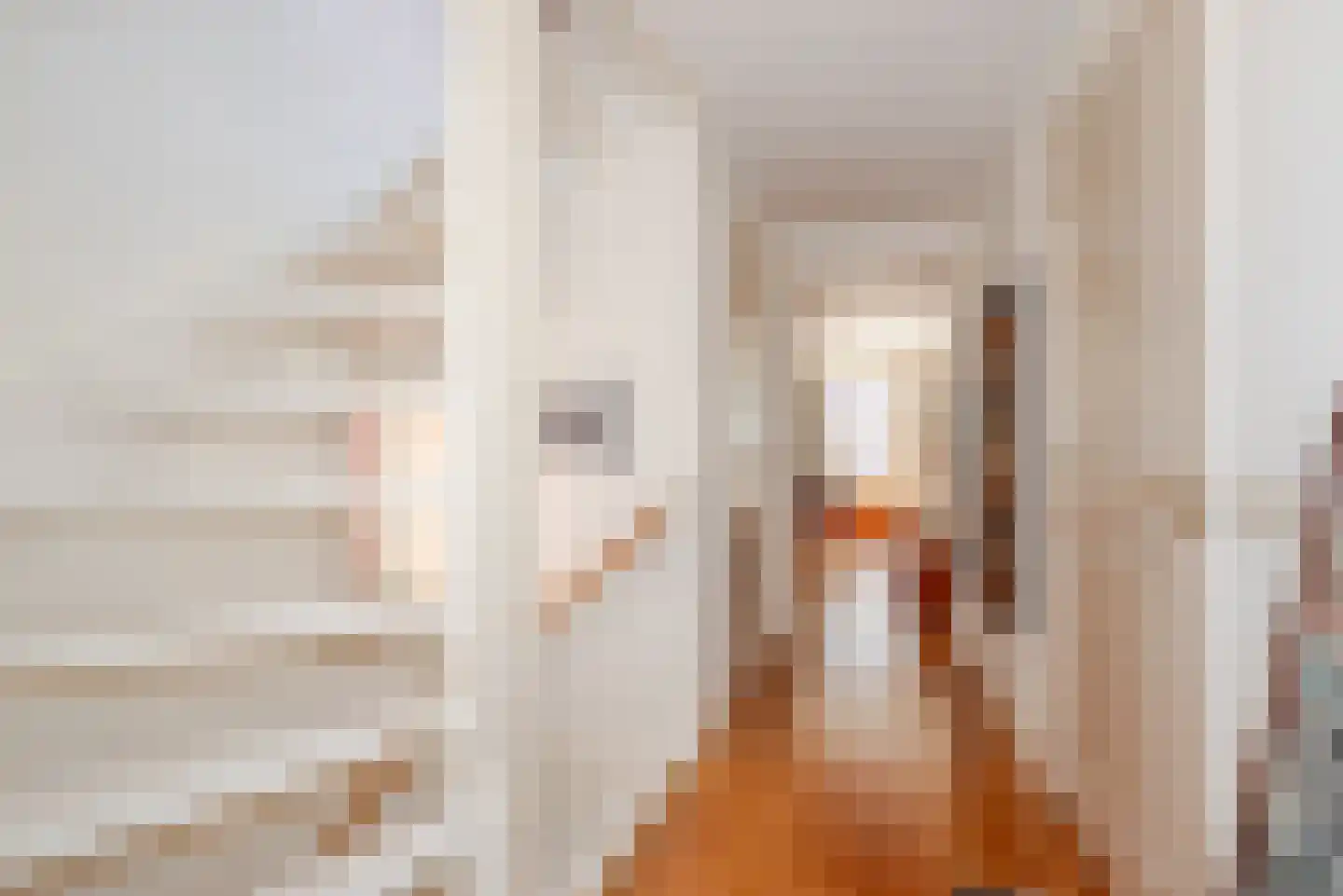 Oude Molstraat 5 F Den Haag thumbnail 25