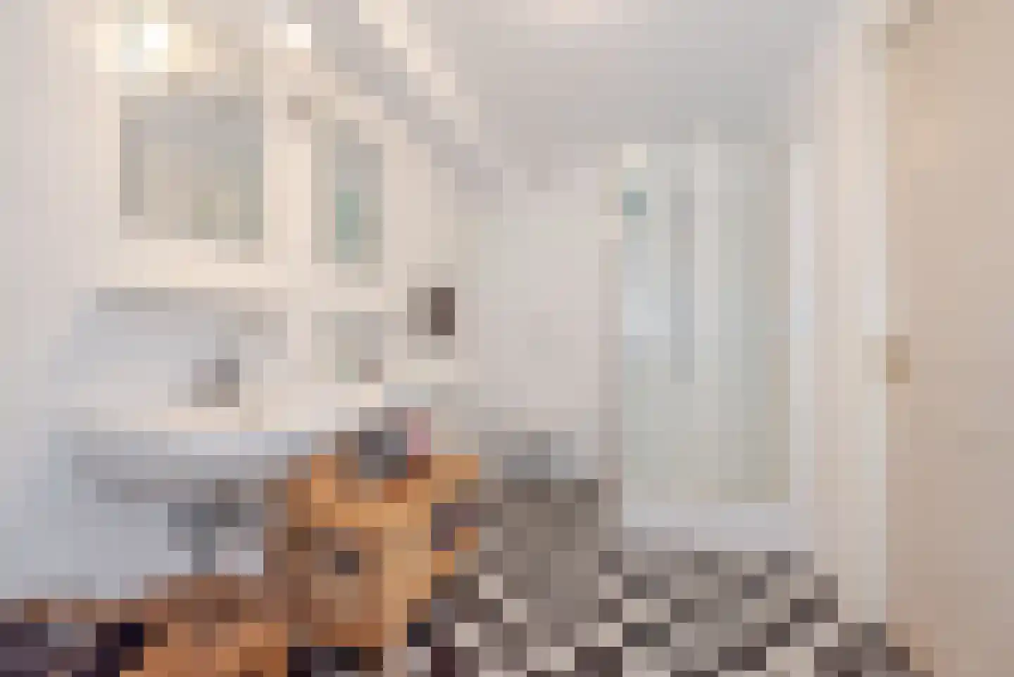 Oude Molstraat 5 F Den Haag thumbnail 30