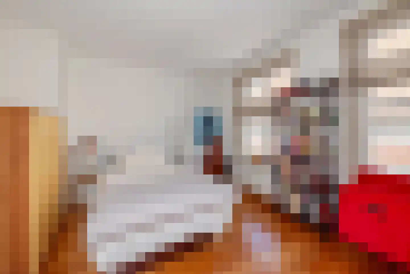 Oude Molstraat 5 F Den Haag thumbnail 33