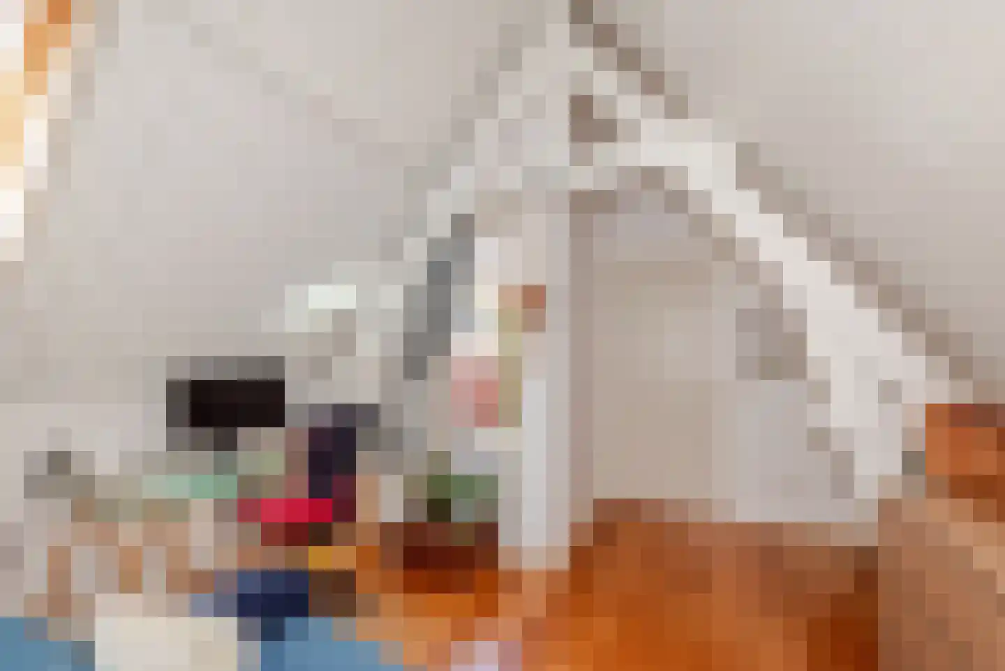 Oude Molstraat 5 F Den Haag thumbnail 39