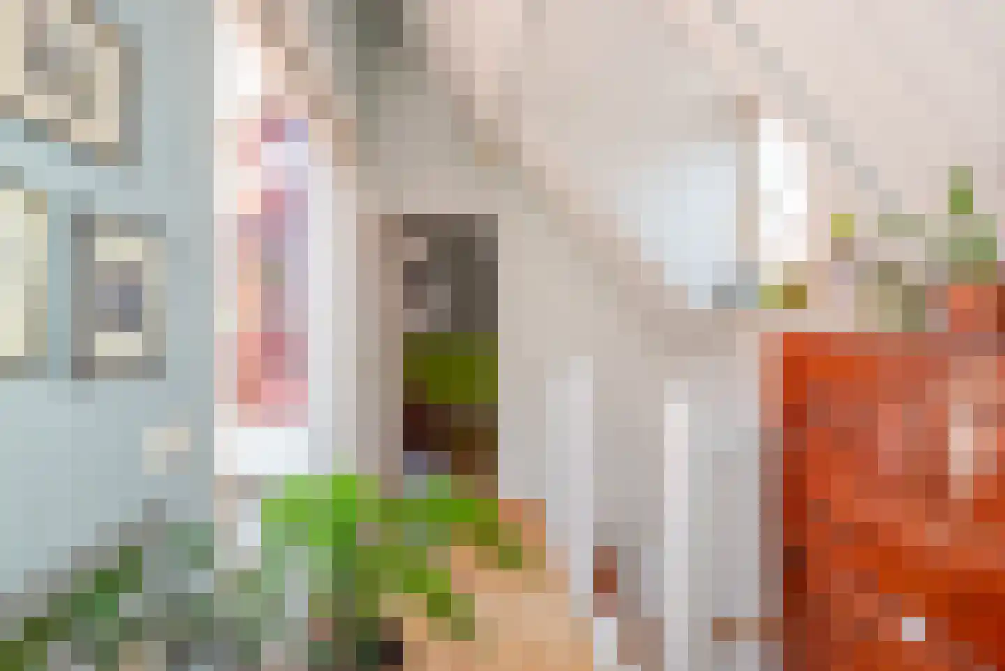 Oude Molstraat 5 F Den Haag thumbnail 40