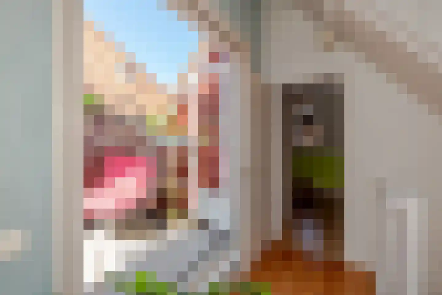 Oude Molstraat 5 F Den Haag thumbnail 41