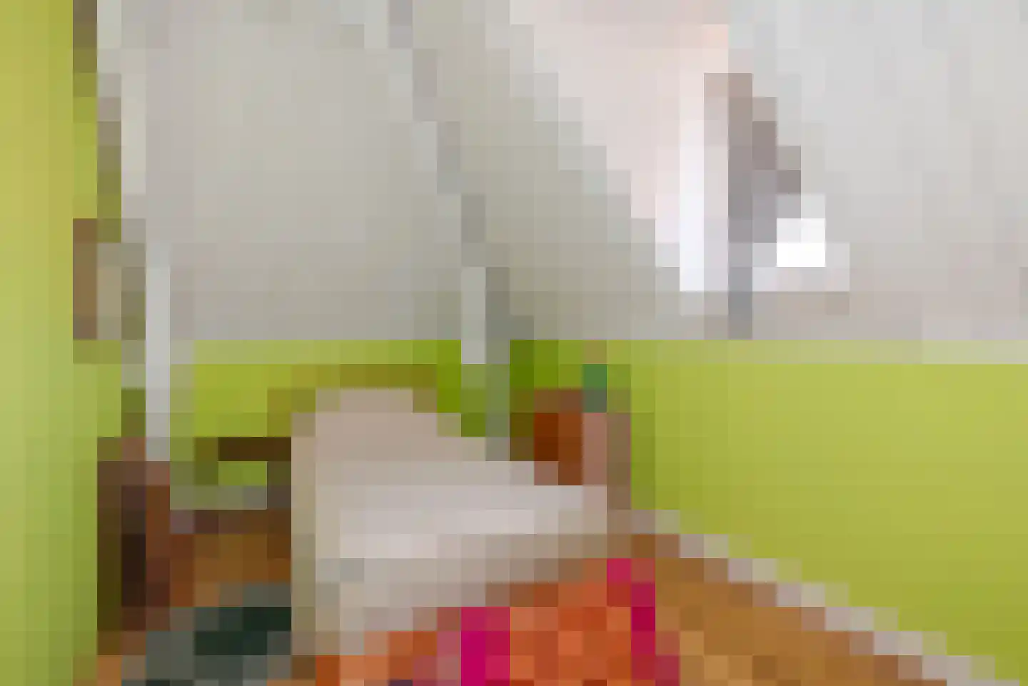 Oude Molstraat 5 F Den Haag thumbnail 43
