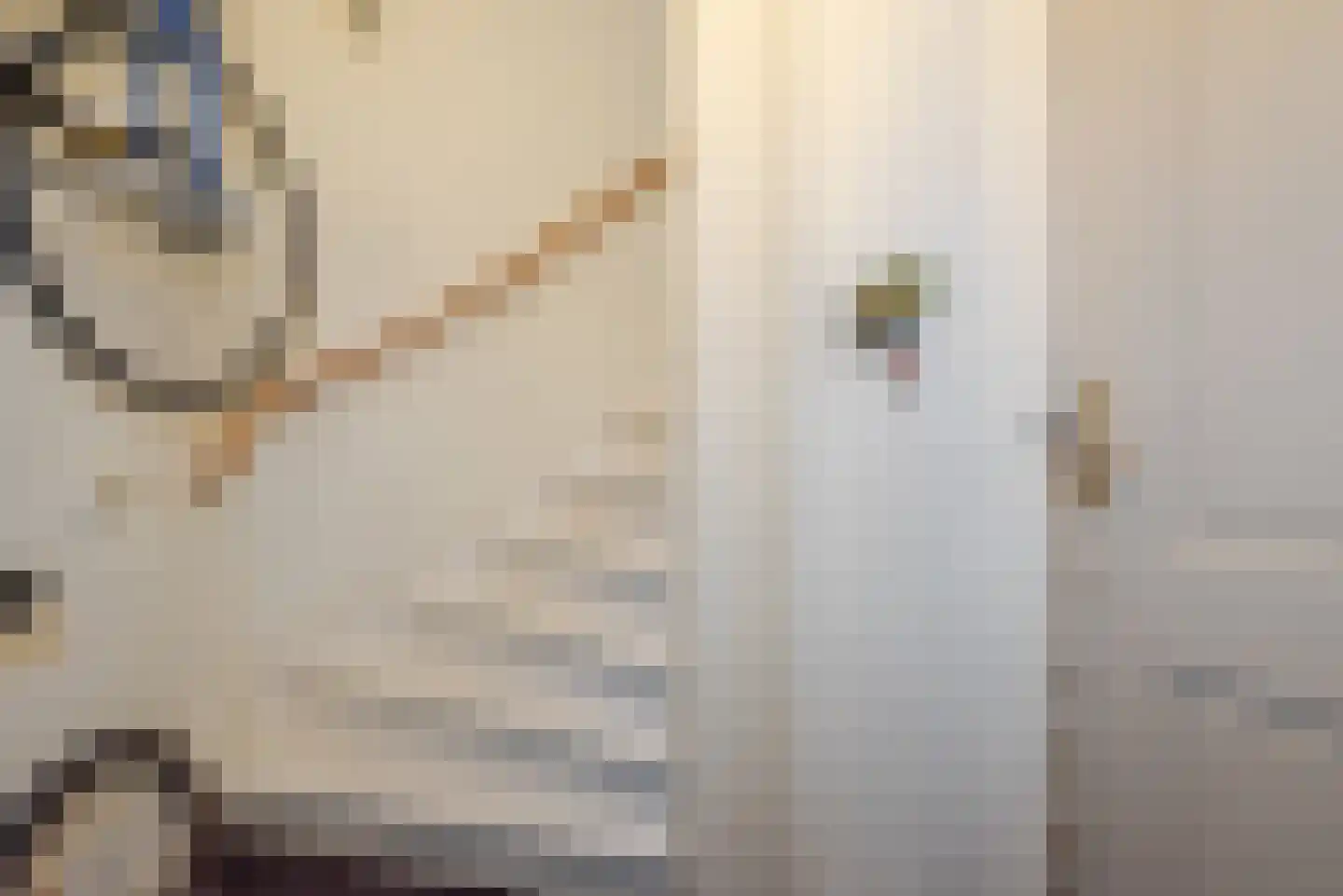 Oude Molstraat 5 F Den Haag thumbnail 8
