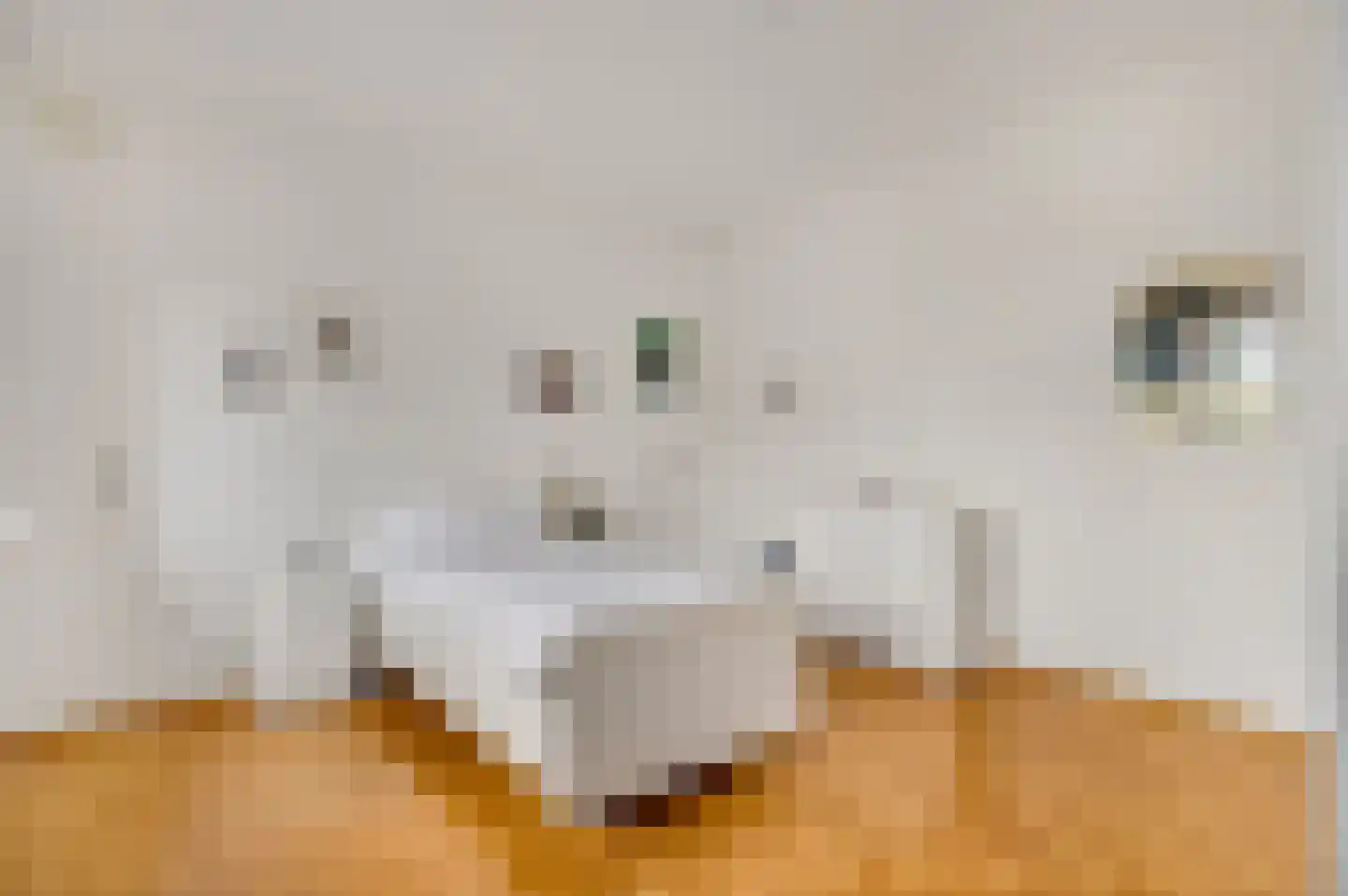 Oude Montforterweg 2 Herten thumbnail 21