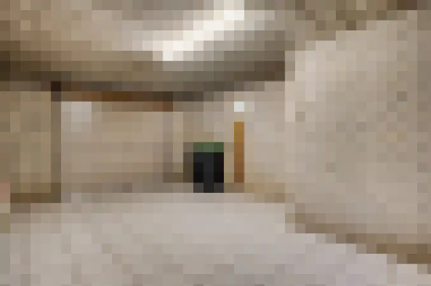 Oude Montforterweg 2 Herten thumbnail 25