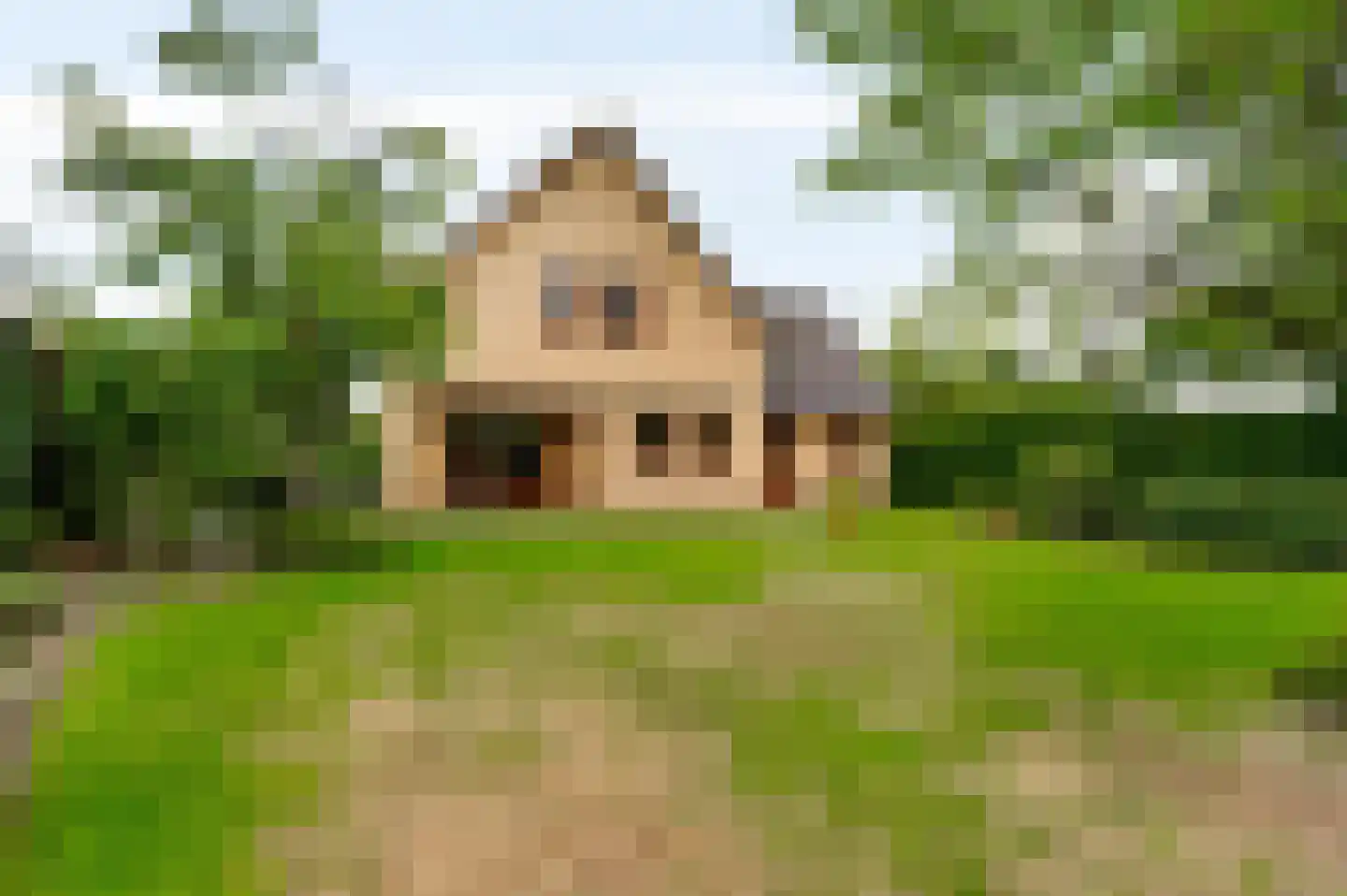 Oude Montforterweg 2 Herten thumbnail 30
