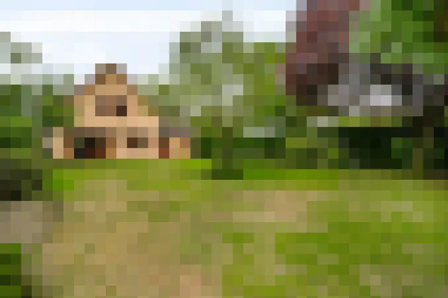 Oude Montforterweg 2 Herten thumbnail 31