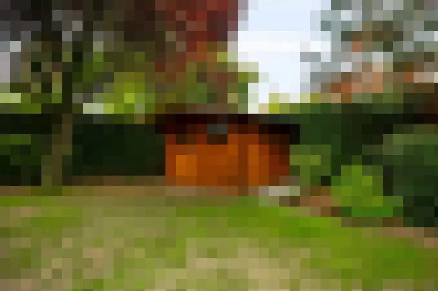 Oude Montforterweg 2 Herten thumbnail 32