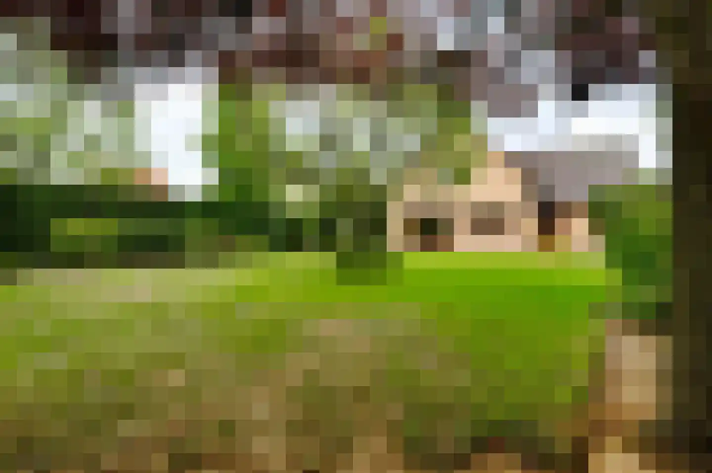 Oude Montforterweg 2 Herten thumbnail 33