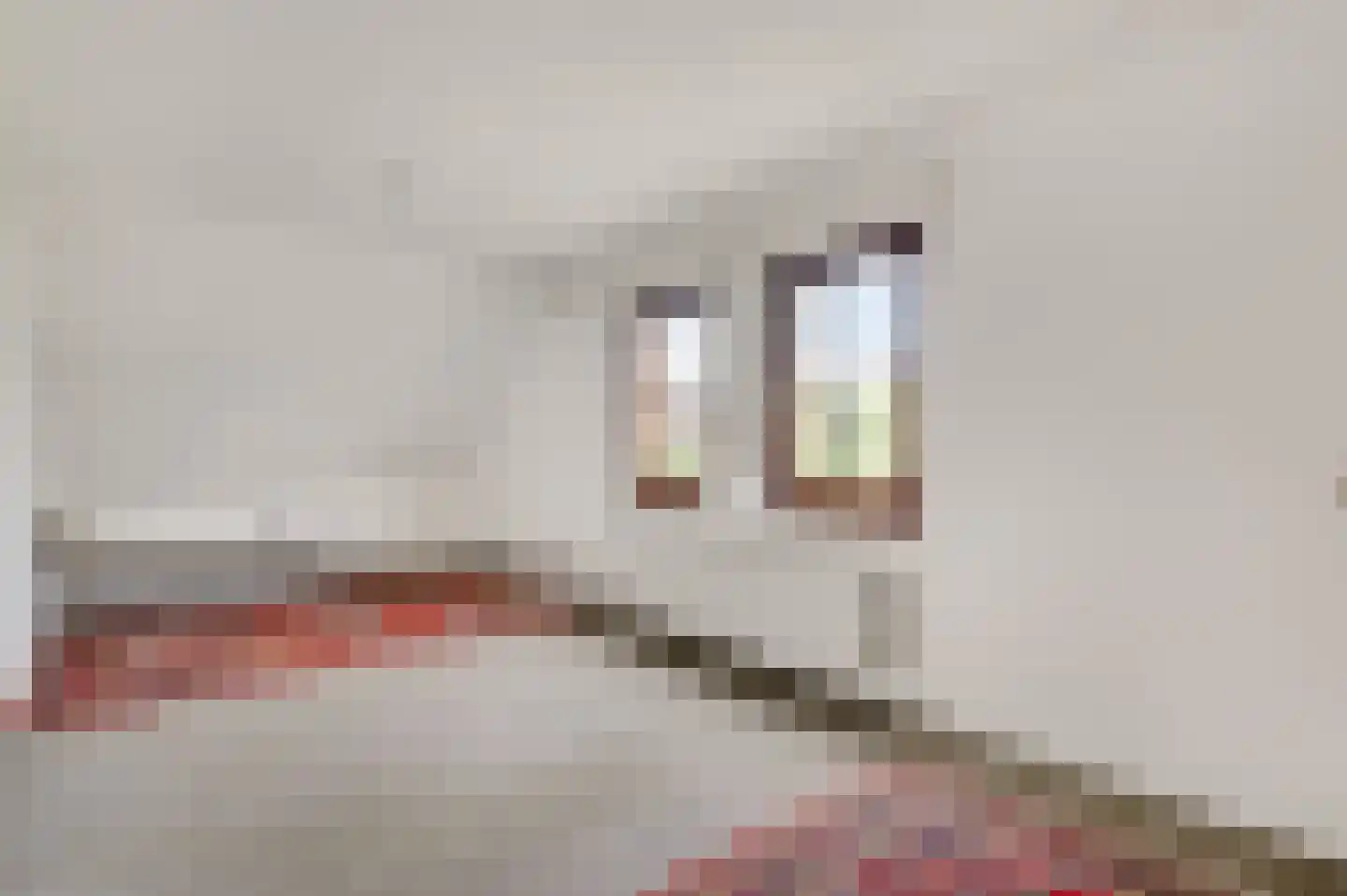 Oude Montforterweg 2 Herten thumbnail 37