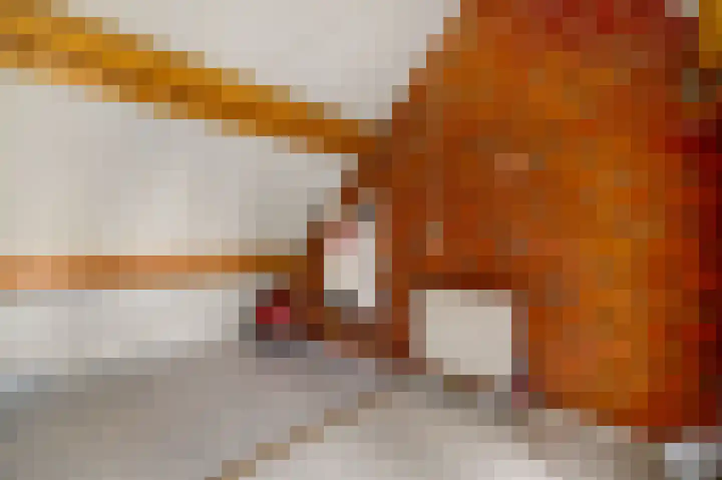 Oude Montforterweg 2 Herten thumbnail 42