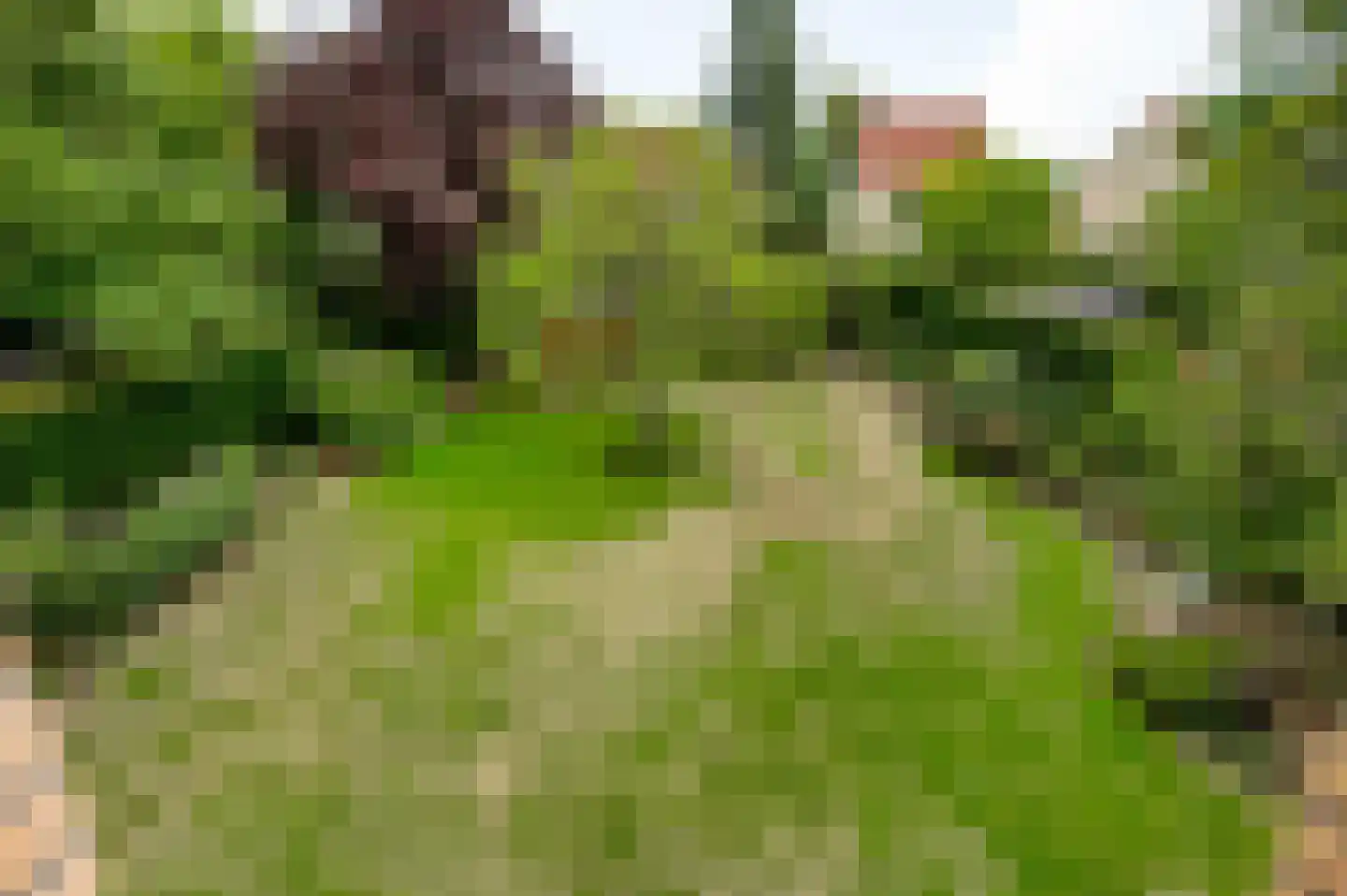 Oude Montforterweg 2 Herten thumbnail 43