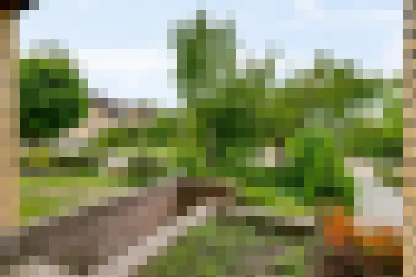 Oude Montforterweg 2 Herten thumbnail 44