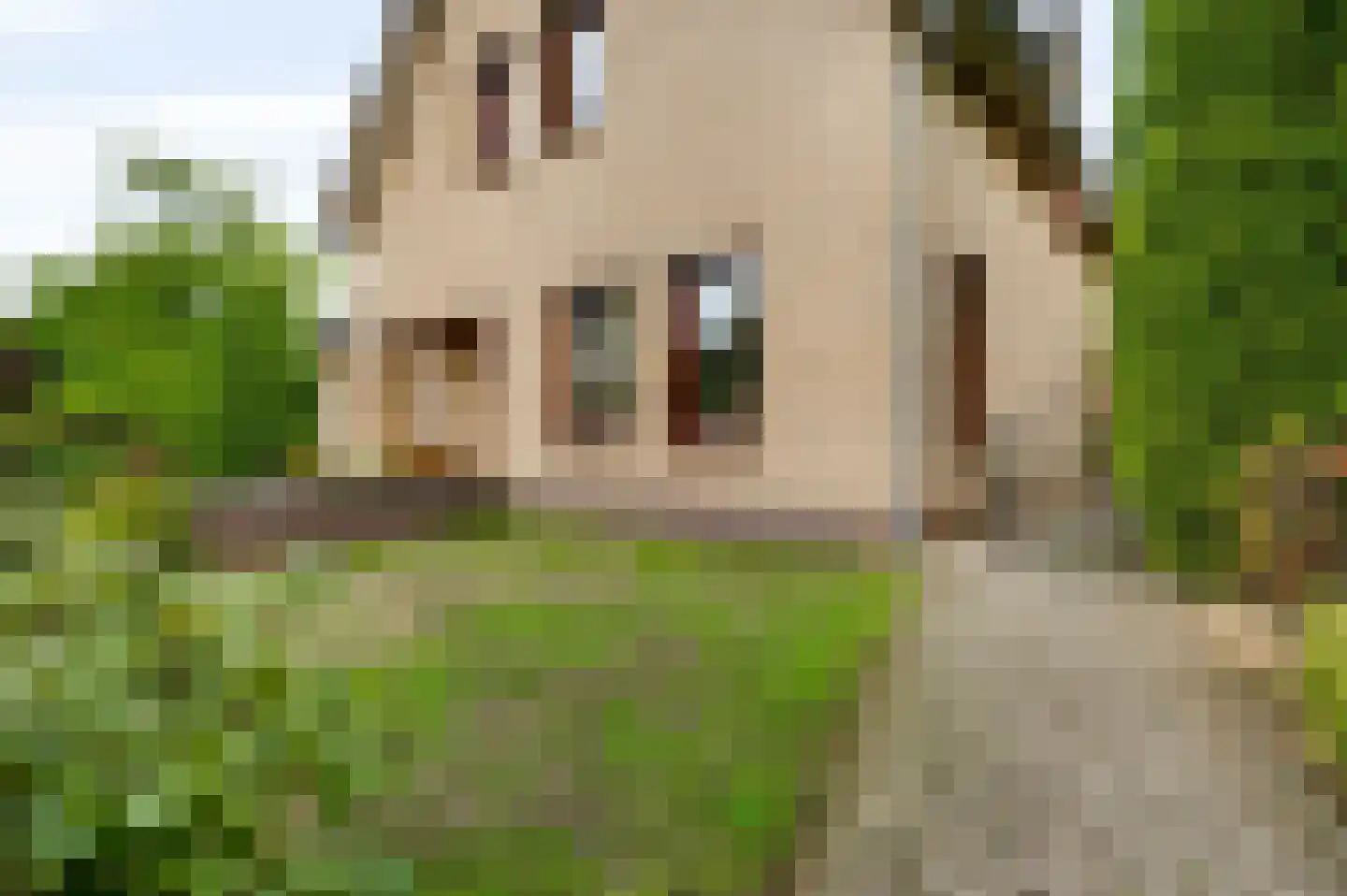 Oude Montforterweg 2 Herten thumbnail 6