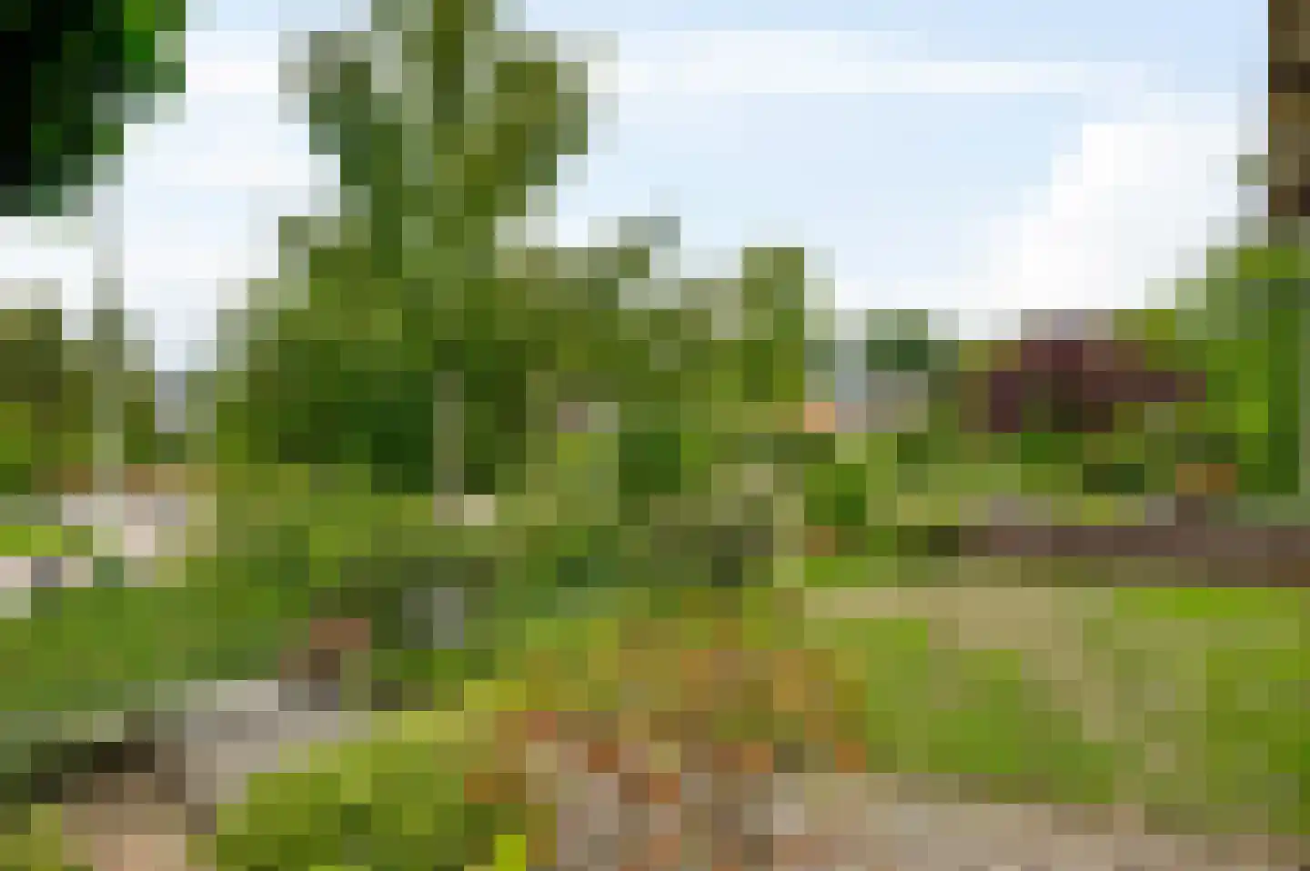 Oude Montforterweg 2 Herten thumbnail 7