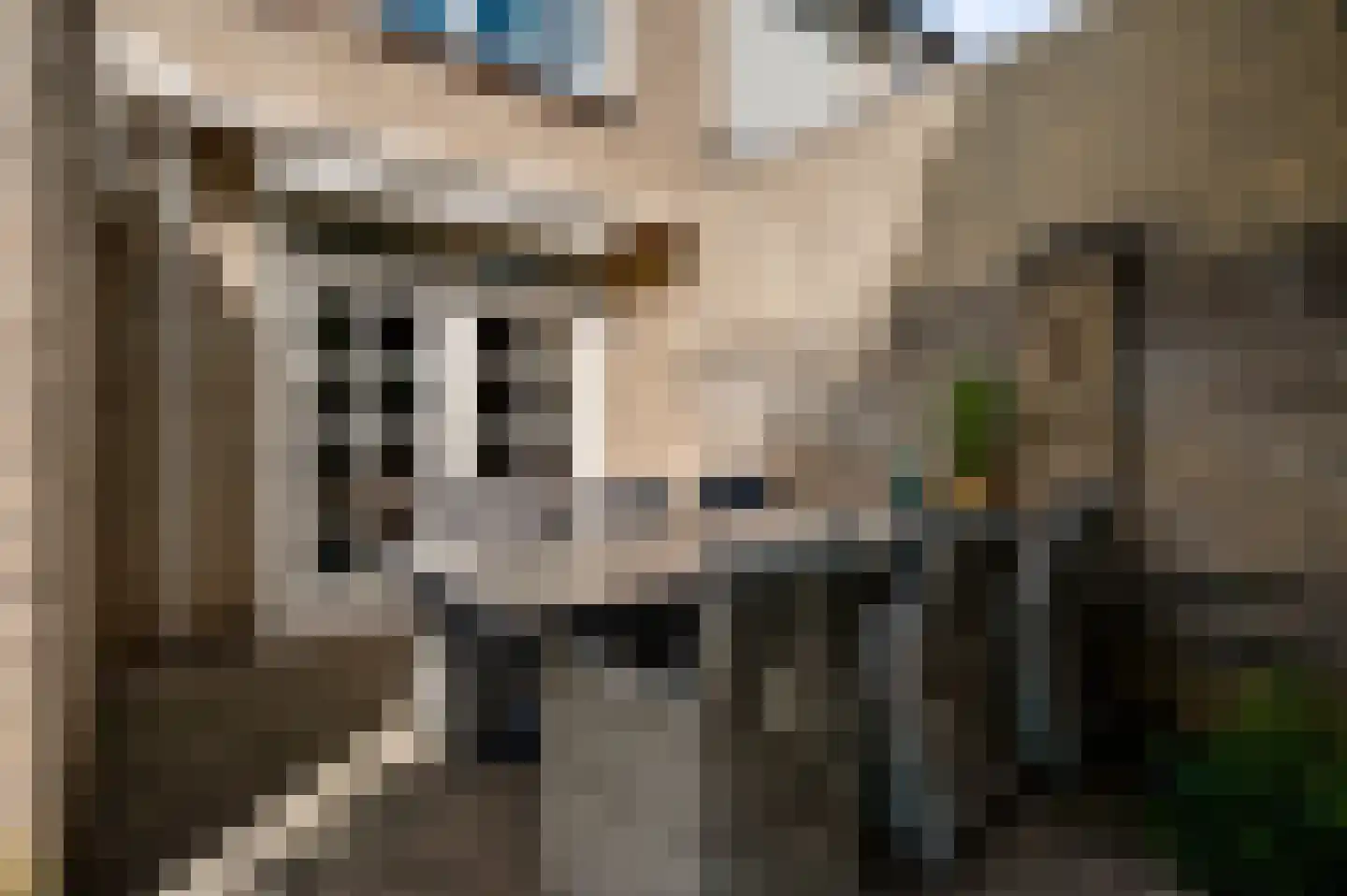 Oude Montforterweg 24 Herten thumbnail 17