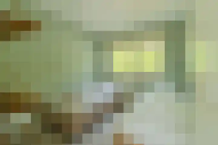 Oude Moolweg 26 0011 Renesse thumbnail 15