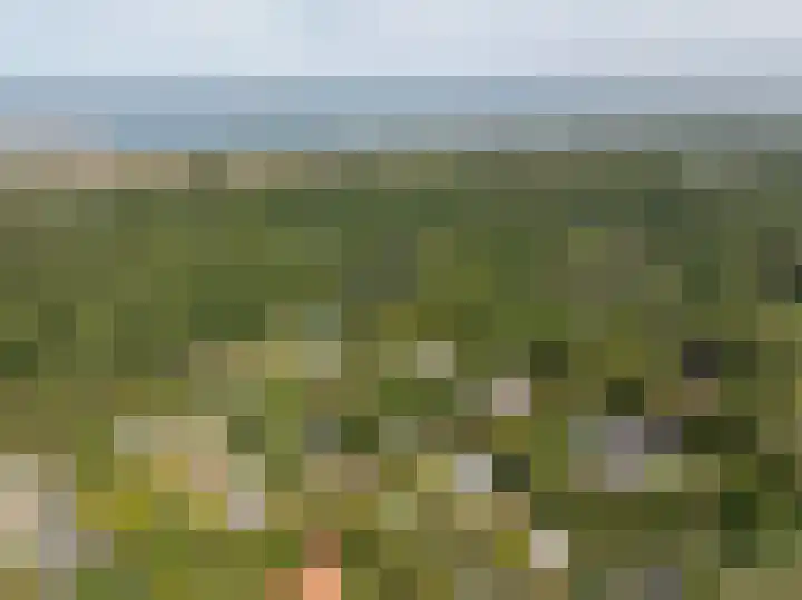 Oude Moolweg 26 0011 Renesse thumbnail 21