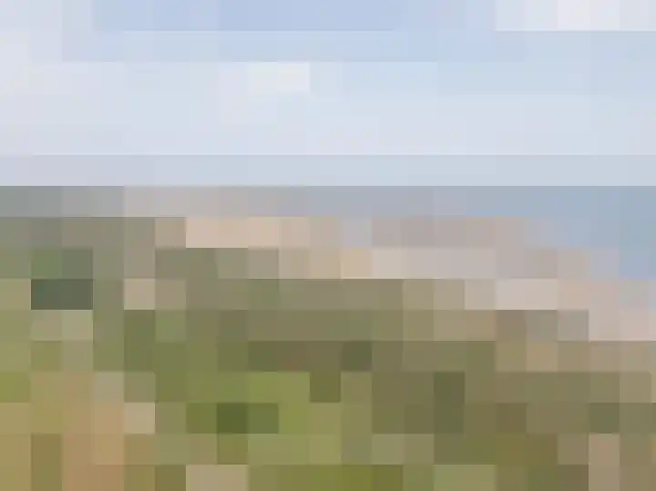 Oude Moolweg 26 0011 Renesse thumbnail 24