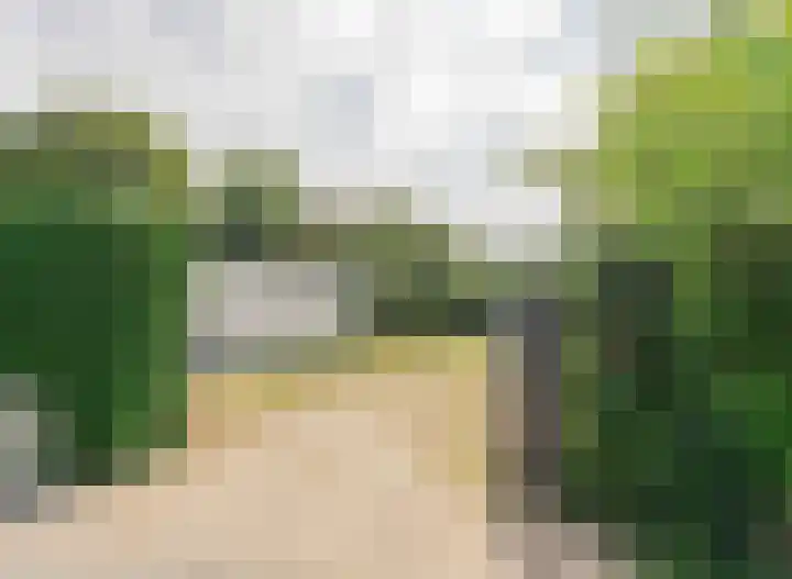 Oude Moolweg 26 0011 Renesse thumbnail 25