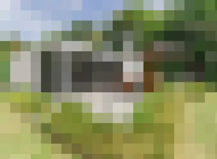 Oude Moolweg 26 0011 Renesse thumbnail 4