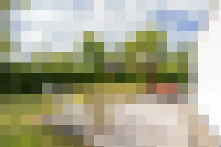 Oude Moolweg 26 0011 Renesse thumbnail 7