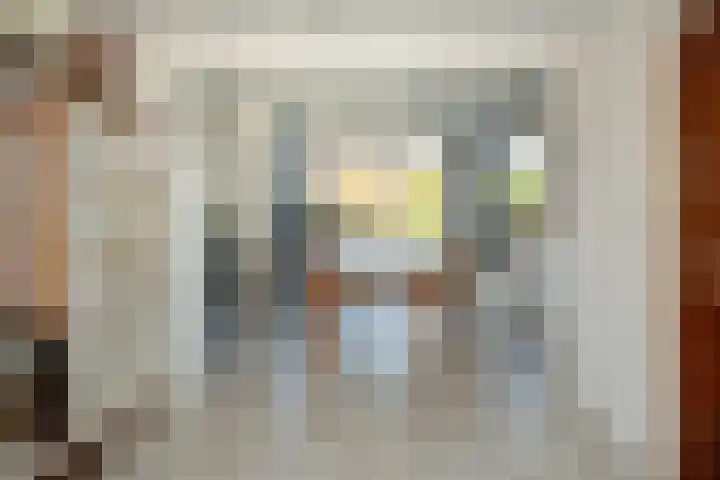 Oude Nieuwlandseweg 23 B Ouddorp thumbnail 11