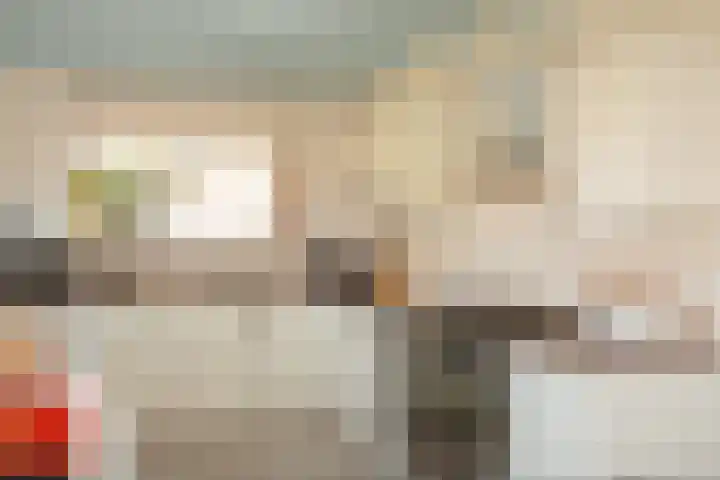 Oude Nieuwlandseweg 23 B Ouddorp thumbnail 13