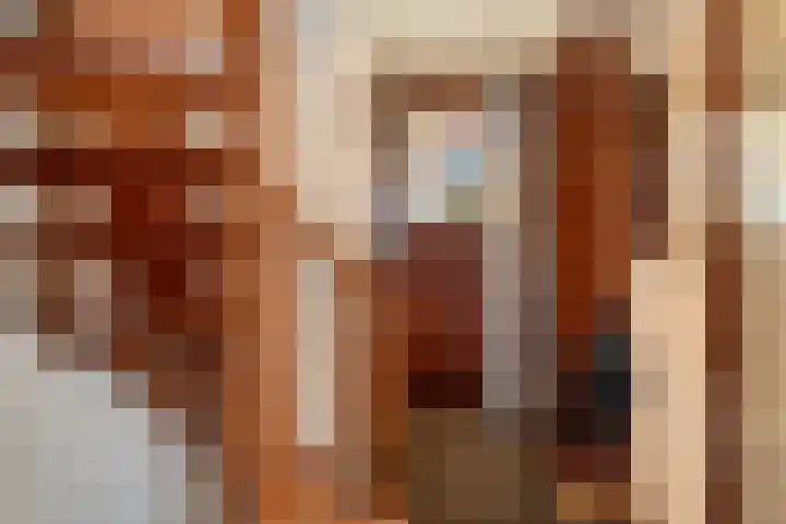 Oude Nieuwlandseweg 23 B Ouddorp thumbnail 15