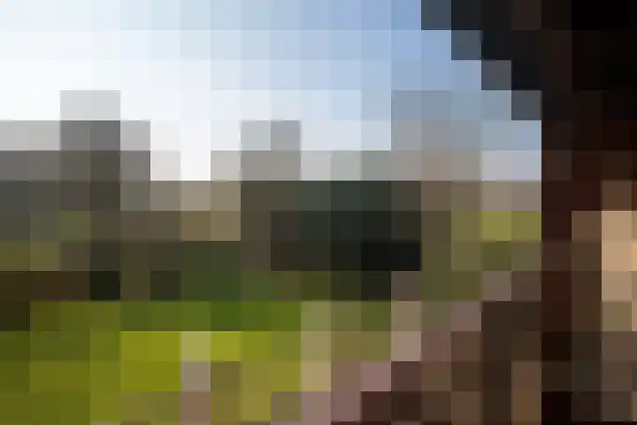 Oude Nieuwlandseweg 23 B Ouddorp thumbnail 17