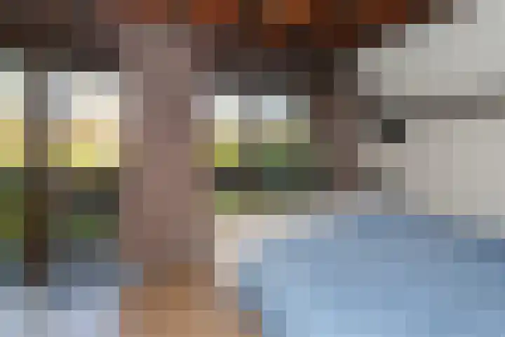 Oude Nieuwlandseweg 23 B Ouddorp thumbnail 20