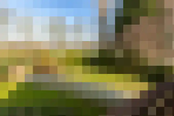 Oude Nieuwlandseweg 23 B Ouddorp thumbnail 21