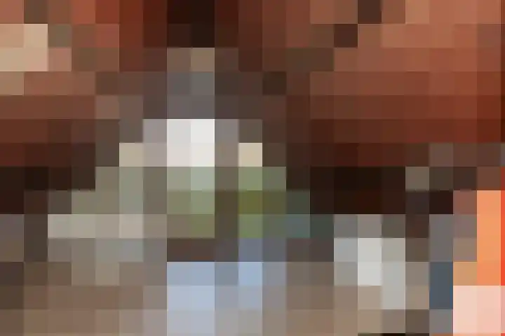 Oude Nieuwlandseweg 23 B Ouddorp thumbnail 24
