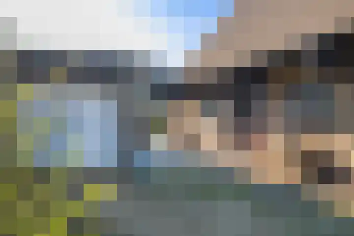 Oude Nieuwlandseweg 23 B Ouddorp thumbnail 27